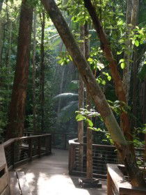 Basin Lake Track - Tourism Adelaide 0