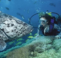 Pelorus Island - Tourism Adelaide