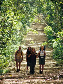 Wet Tropics Great Walk - Tourism Adelaide 0