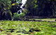 Queens Park Waterfall - thumb 0
