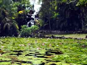 Queens Park Waterfall - Tourism Adelaide 0