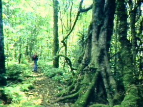 Kalbar QLD Tourism Adelaide