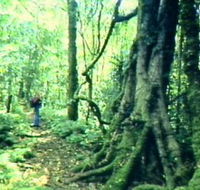 Mt Superbus - Tourism Adelaide