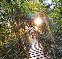 Tree Top Walkway - Tourism Adelaide