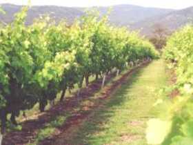 Wyberba QLD Tourism Adelaide