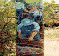 Alpha Murals - Tourism Adelaide
