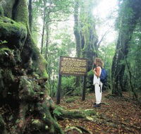 Tooloona Creek circuit - Tourism Adelaide