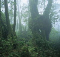 West Canungra Creek Circuit - Tourism Adelaide