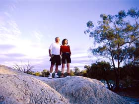 Mud Springs - Tourism Adelaide 0