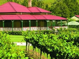OReillys Canungra Valley Vineyards - Tourism Adelaide 0