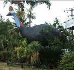 The Big Cassowary - Tourism Adelaide