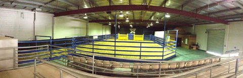 Australian Rodeo Heritage Centre - Tourism Adelaide 1