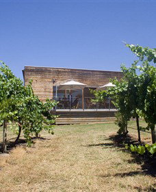 Shantell Vineyard - Tourism Adelaide 0