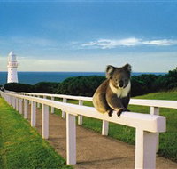 Cape Otway Lightstation - Tourism Adelaide