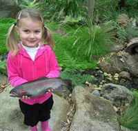 Wild Food Farm  Cafe - Tourism Adelaide