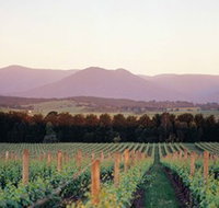 Domaine Chandon - Tourism Adelaide