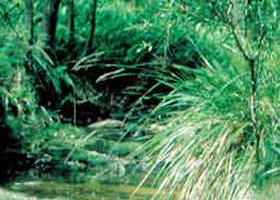 Blackwood VIC Tourism Adelaide