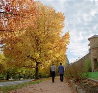 Indigo Gold Trail - Tourism Adelaide