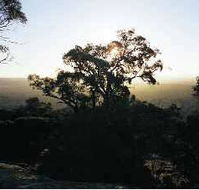 Yarra Flats - Tourism Adelaide