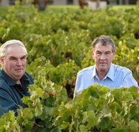 Campbells Wines - Tourism Adelaide