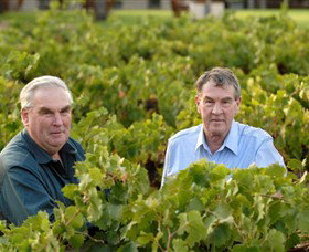 Campbells Wines - Tourism Adelaide 0