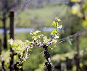 Lower Norton VIC Tourism Adelaide