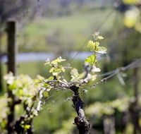 Norton Estate Wines - Tourism Adelaide