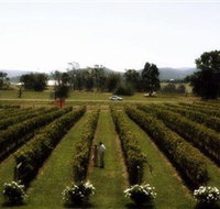 Rochford Wines - Tourism Adelaide