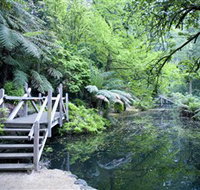Alfred Nicholas Gardens - Tourism Adelaide