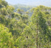 Bunyip State Park - Tourism Adelaide
