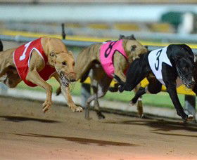 The Beckley Centre - Tourism Adelaide 0
