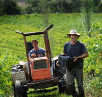 Kellybrook Winery  Kelly Brothers Cider - Tourism Adelaide