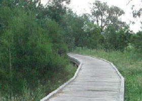 Shepherds Bush - Tourism Adelaide 0