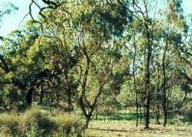 Appin South VIC Tourism Adelaide