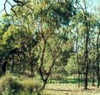 Leaghur State Park - Tourism Adelaide