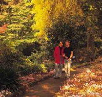 George Tindale Memorial Gardens - Tourism Adelaide