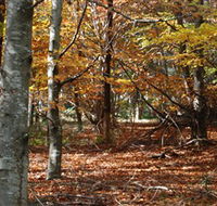 RJ Hamer Arboretum - Tourism Adelaide