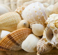 Anglesea Beach Club - Tourism Adelaide