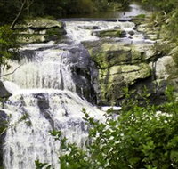 Agnes Falls Scenic Reserve - Tourism Adelaide