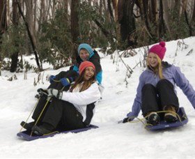 Marysville VIC Tourism Adelaide