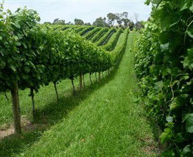 The Cups Estate - Tourism Adelaide 0