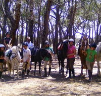 Bellarine Horse Riding Centre - Tourism Adelaide