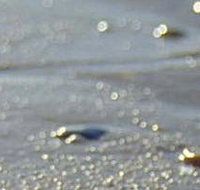 Cape Liptrap Coastal Park - Tourism Adelaide