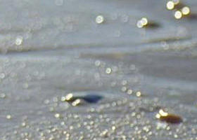 Cape Liptrap Coastal Park - Tourism Adelaide 0