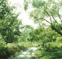 Holey Plains State Park - Tourism Adelaide