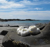 Calma Candles - Tourism Adelaide