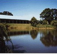 St Anne's Vineyard - Tourism Adelaide