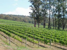 Ada VIC Tourism Adelaide