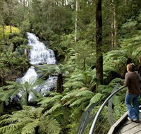 Great Otway National Park - Tourism Adelaide