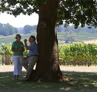 Five Oaks Vineyard - Tourism Adelaide